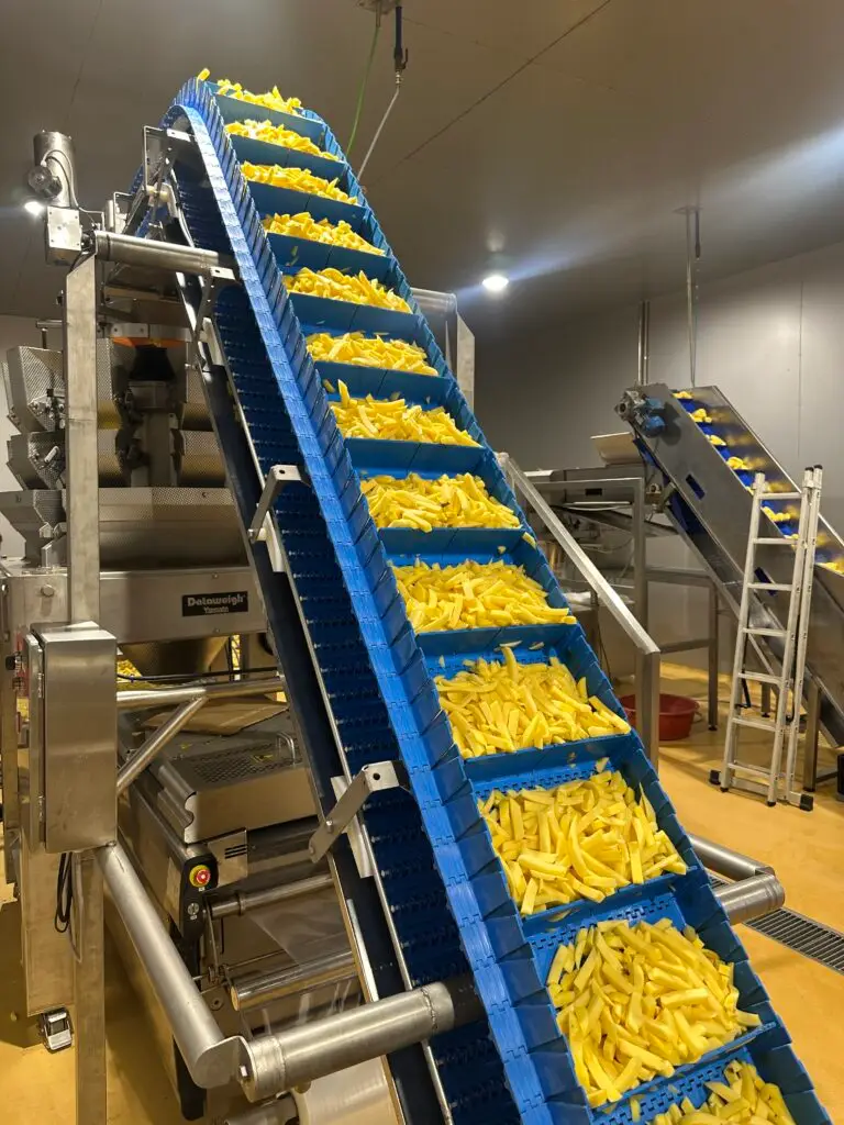 Conveyor feeding French fries into the STC weighing and packing line