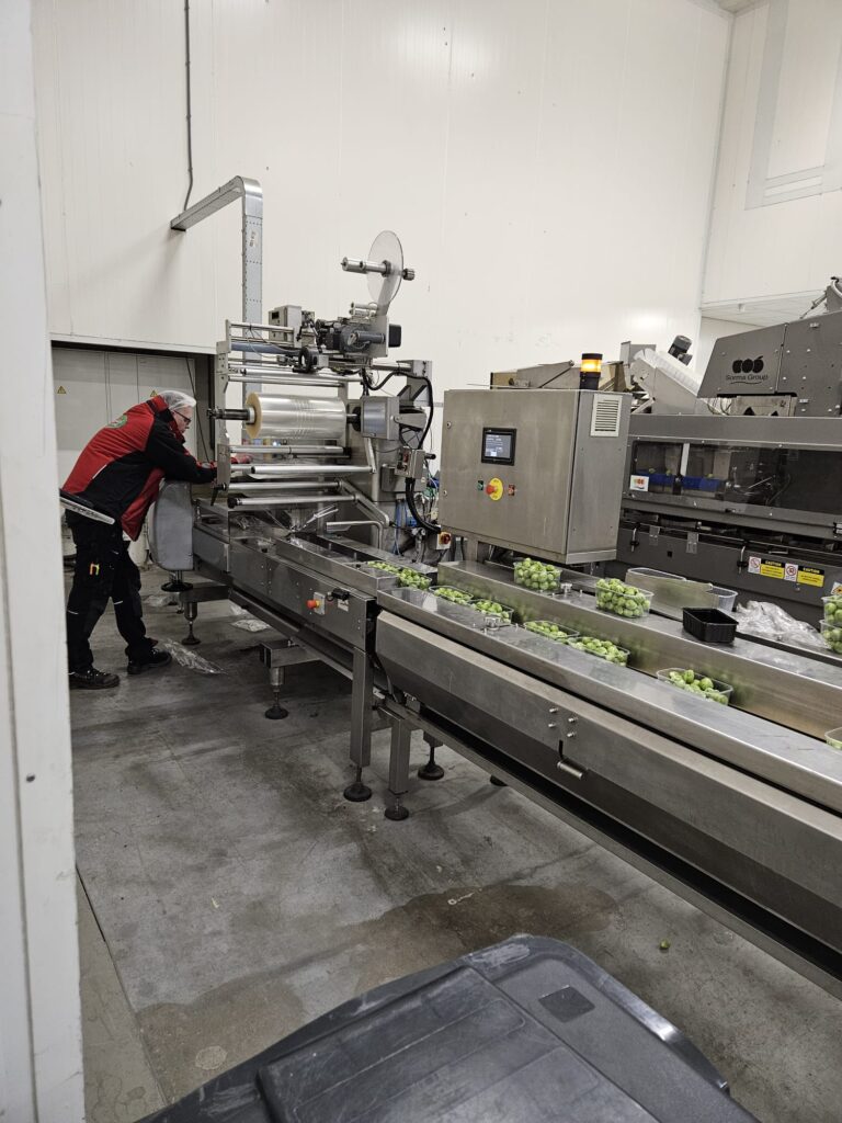 2006 Record Panda MD-ST flowpackmachine met Automotion-invoer