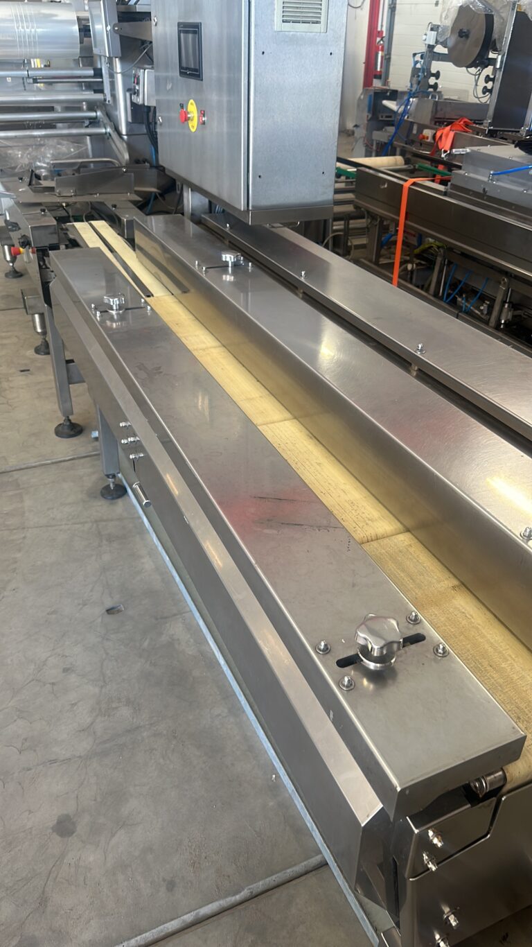 2006 Record Panda MD-ST flowpackmachine met Automotion-invoer