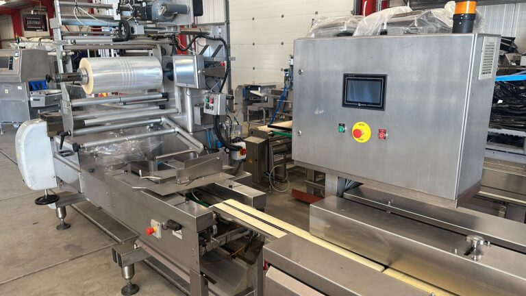 2006 Record Panda MD-ST flowpackmachine met Automotion-invoer