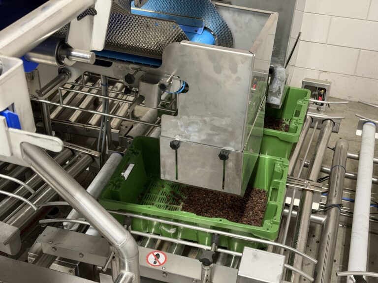 Bulk-Wiegelinie, die 10-kg-Kisten mit Rosinen abfüllt – Foto 5