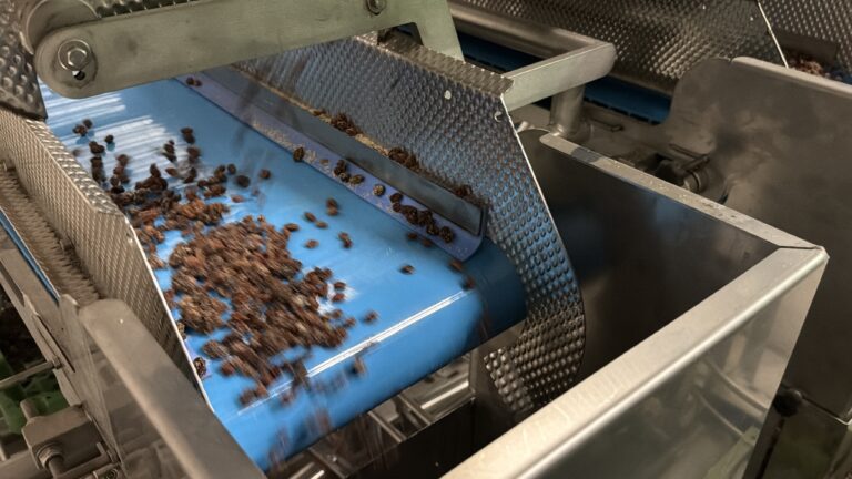 Bulk-Wiegelinie, die 10-kg-Kisten mit Rosinen abfüllt – Foto 6