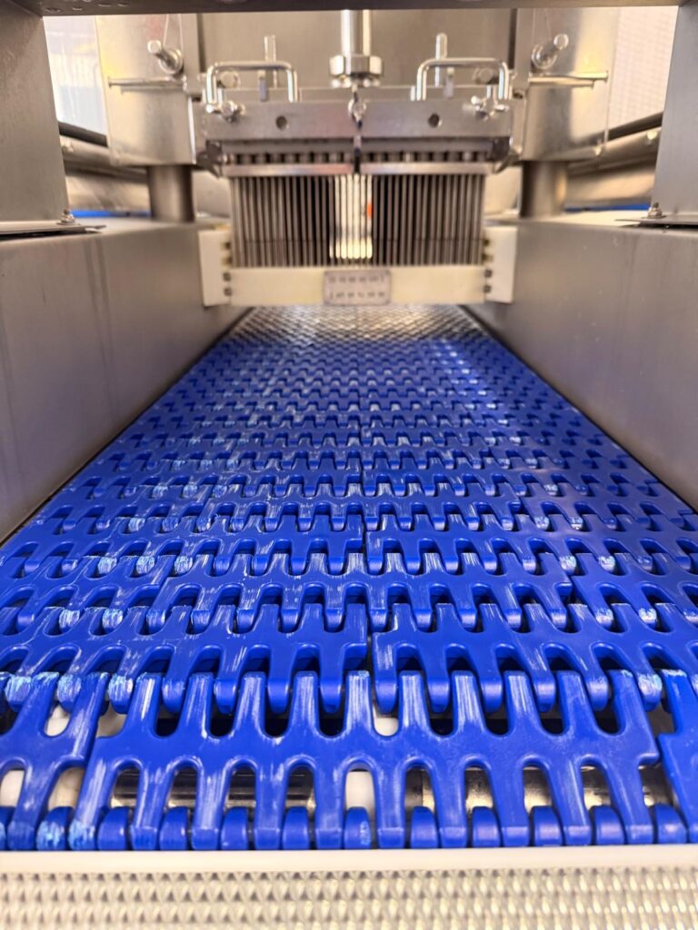 2011 Fomaco FGM 48F pekelinjector voor kip en vis – foto 3