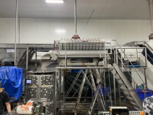 Volautomatische wortellijn met Newtec-weger en Jasa-verpakker – foto 1