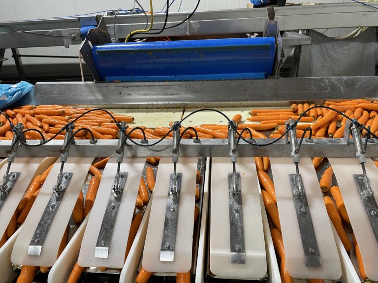 Volautomatische wortellijn met Newtec-weger en Jasa-verpakker – foto 6