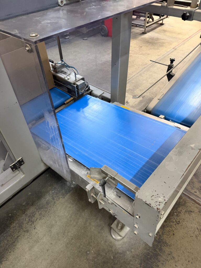 Complete weighing, packaging and case packing line with Yamato and GEA SmartPacker SX400 – photo 44
